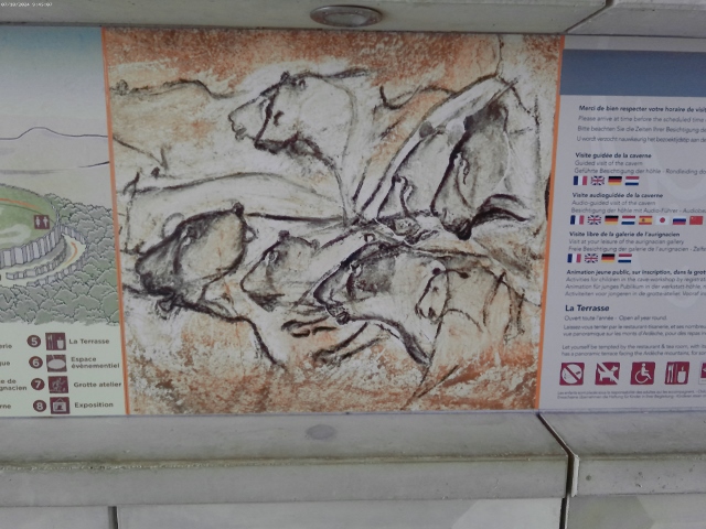 Wandmalereien aus der Steinzeit