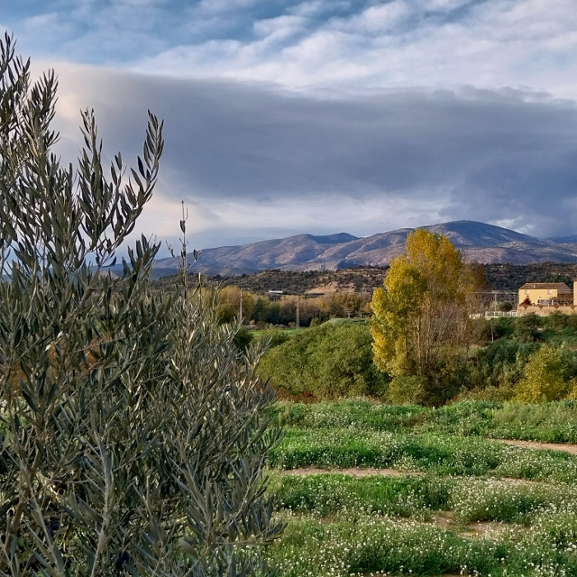 Artes de Segre - Aussicht