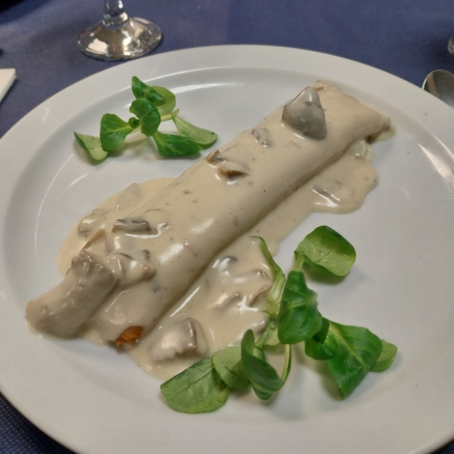 Vorspeise Canelloni