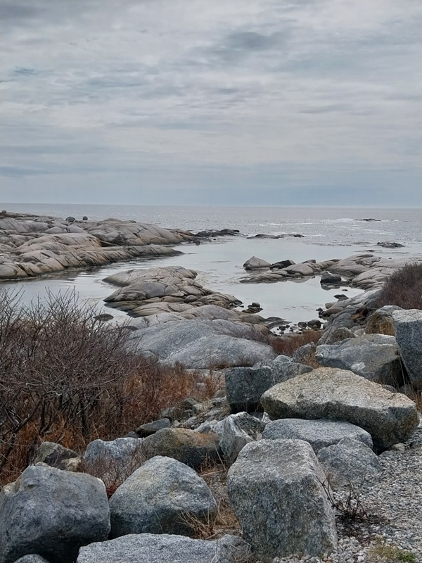 Die Küste von Petty's Cove
