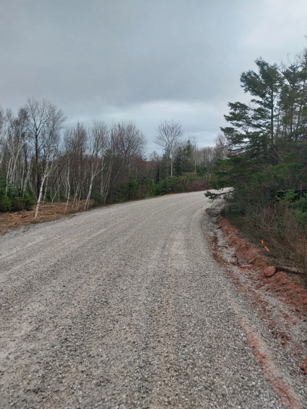 Wo wollen wir den hin?