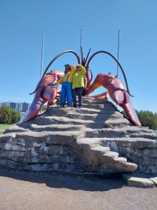 Mehr über den Artikel erfahren 01.05_Canada – 5. Etappe – Provinz New Brunswick