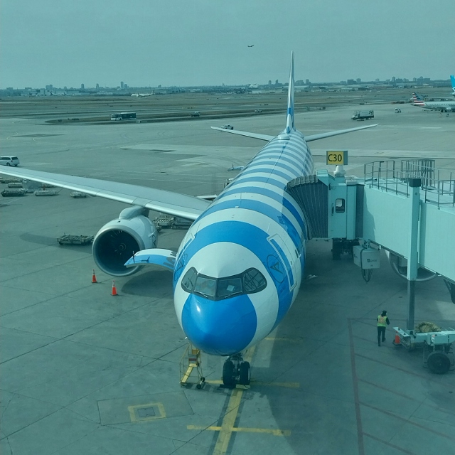 Condor – unser Flugzeug