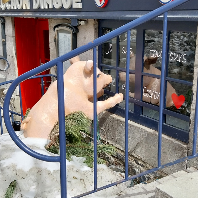 Wohin möchtest du den?