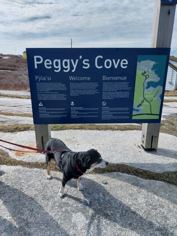 Die Insel Petty's Cove