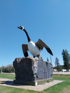 8.50 m hohe Kanadagans-Statue in Wawa