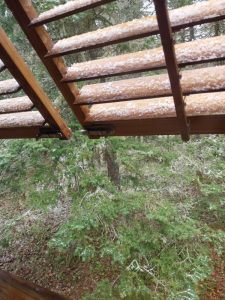 Schnee, nach Kälteeinbruch
