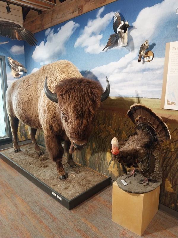 Die Prairie Zone und ihre Bewohner