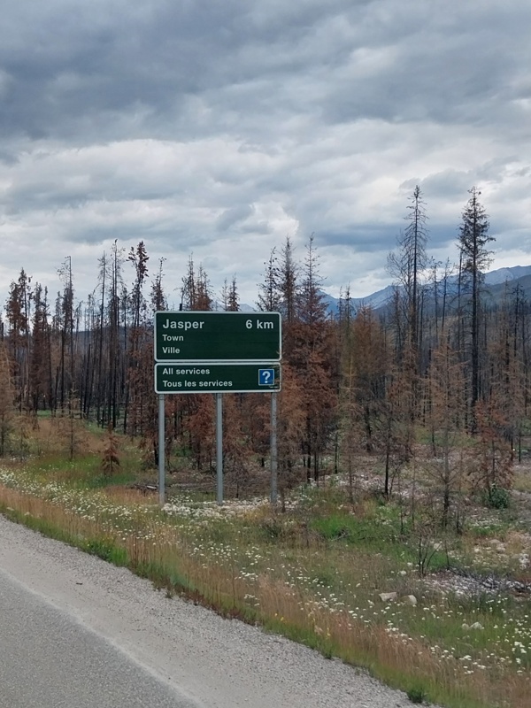 Willkommen in Jasper