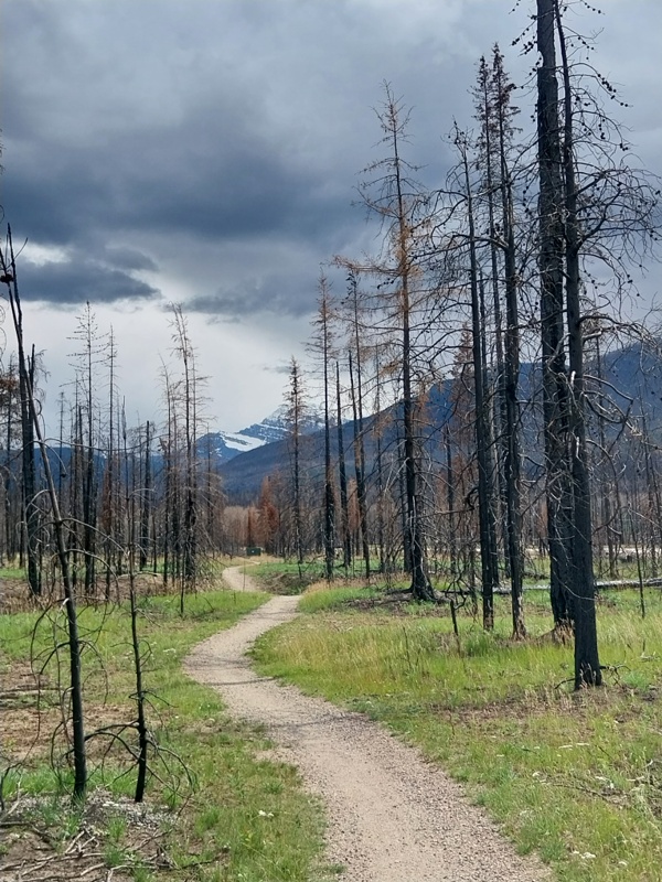 Der Spazierweg vom Campground nach Jasper