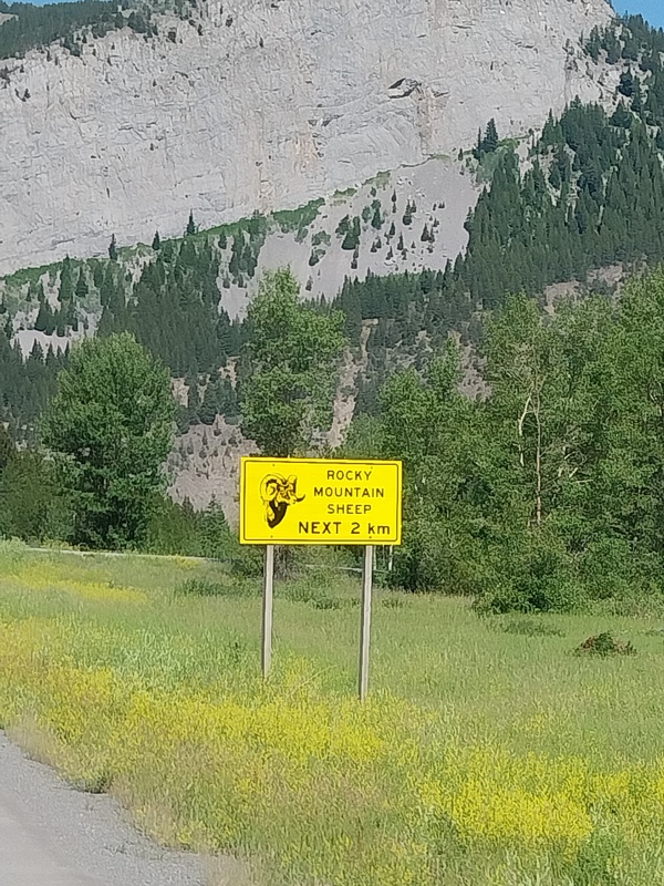 Achtung Bergschafe, wir haben leider keine gesehen