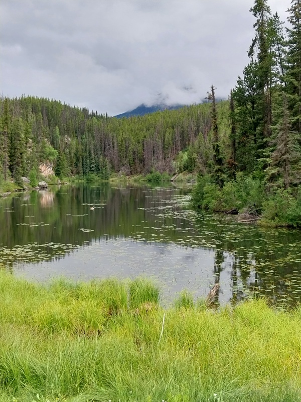 Lasalle Lakes