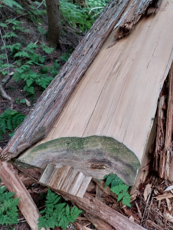 Aus solchem Holz stammt die Fassade unseres Wiwomo