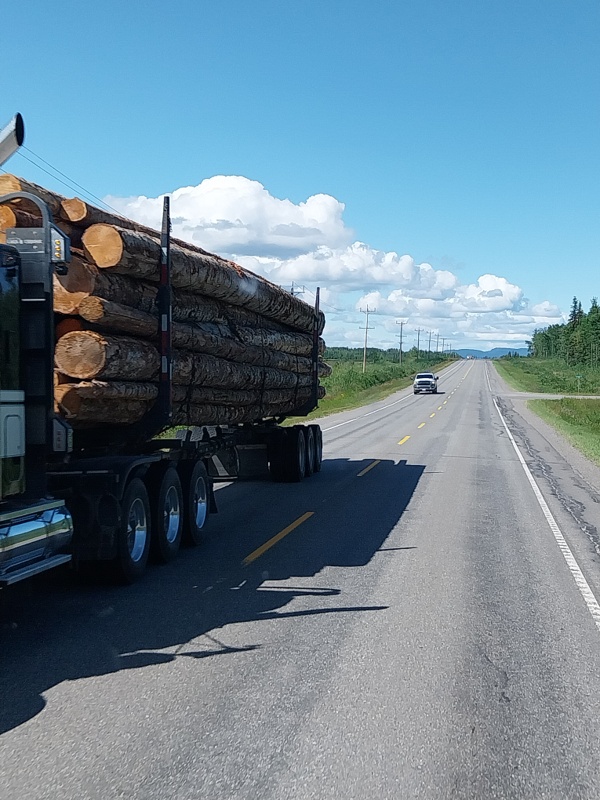 Holztransport