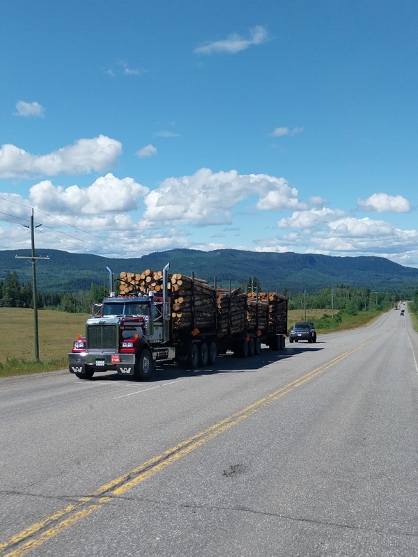 Holztransport
