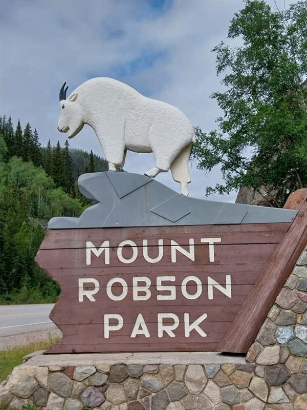 Mount Robson Park mit kanadische Bergziege