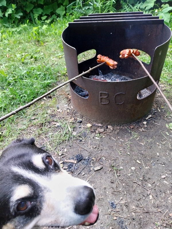 Mhhh, so fein Schwizer Cervelat