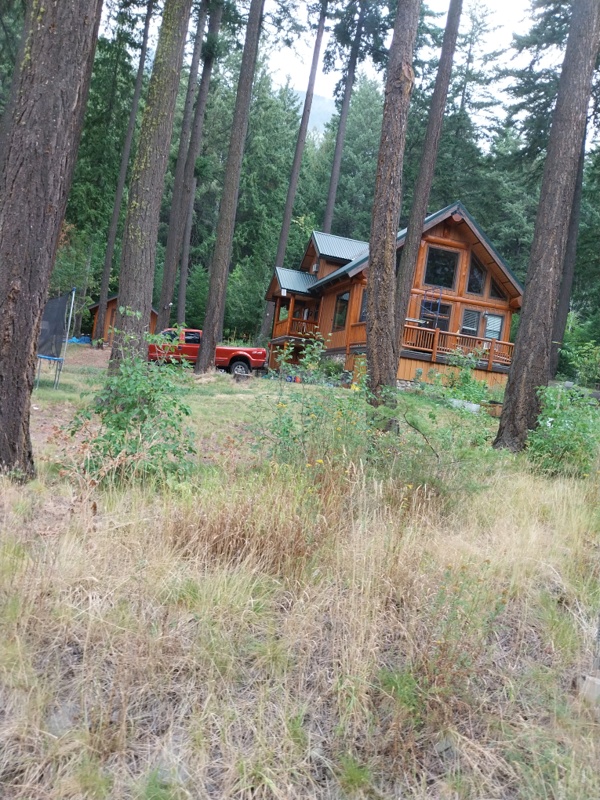 Bauen im Wald