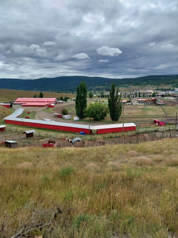 Stampede, Rodeo-Volksfest