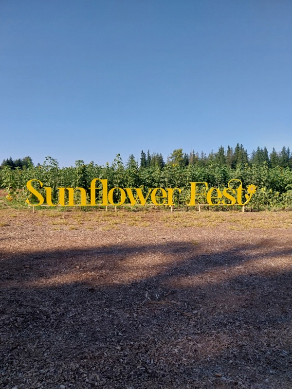 Sonnenblumen Fest