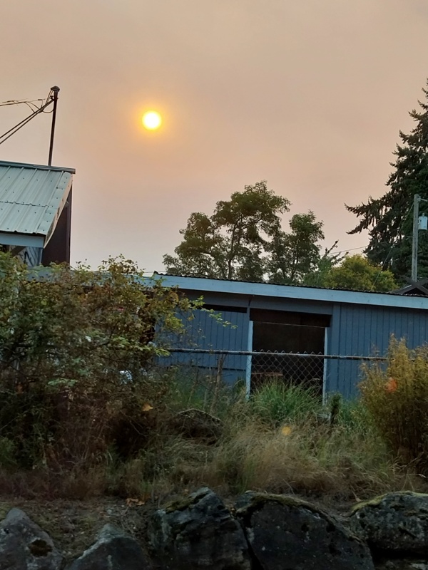 Waldbrand in der Nähe, Rauch liegt in der Luft