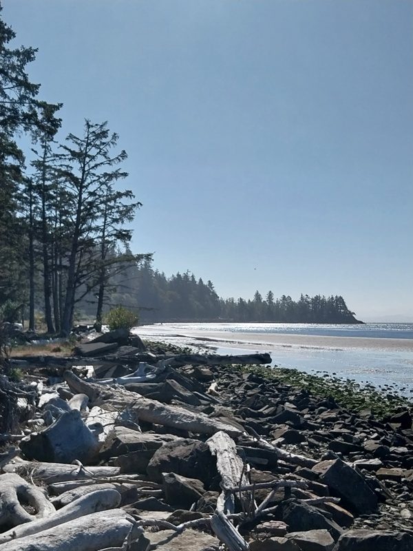 Willapa Bay