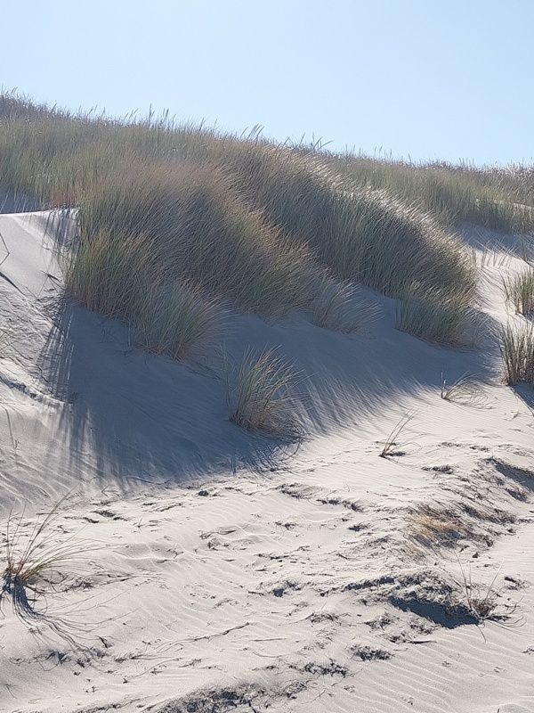 Kleine Sanddüne