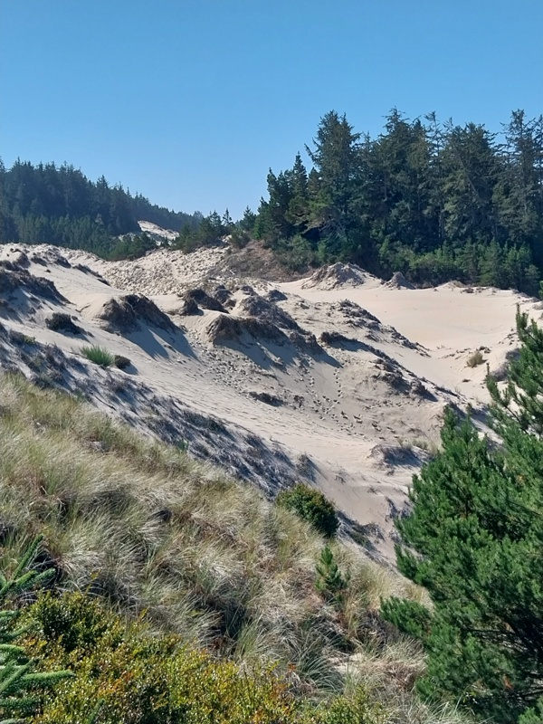 Sanddüne