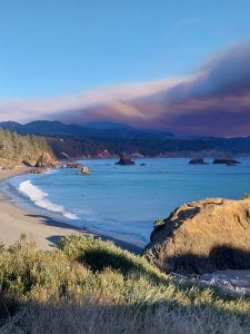 Mehr über den Artikel erfahren 02.02_Amerika – 2. Etappe – Oregon