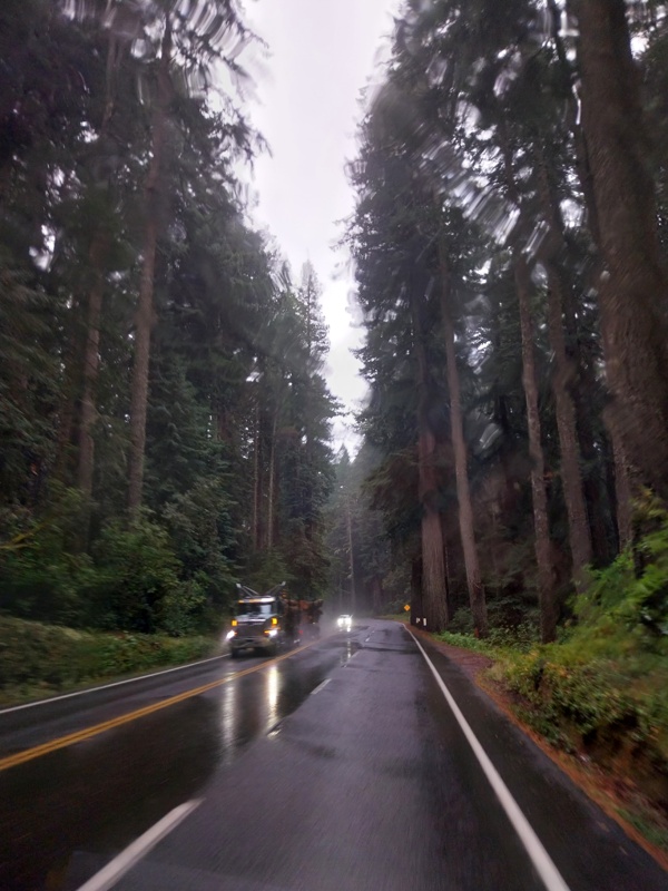 Nicht immer Sonnenschein