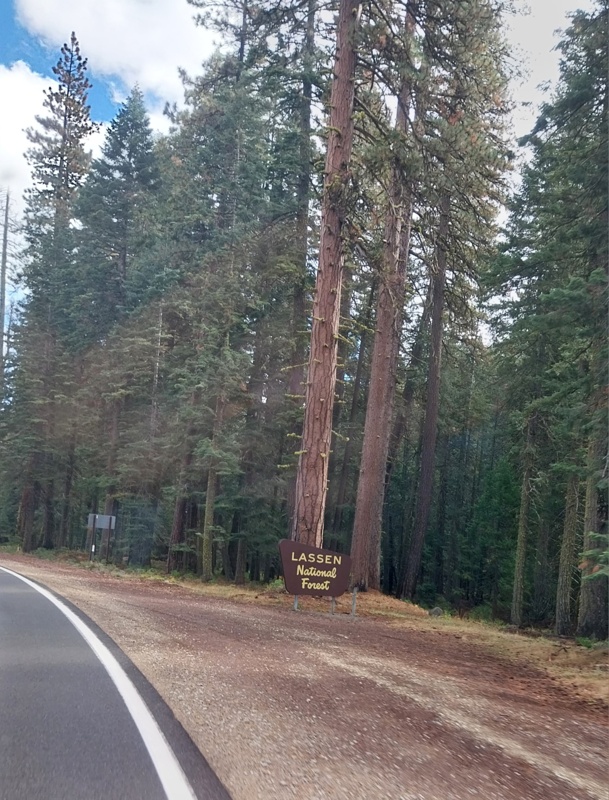 Lassen National Forest