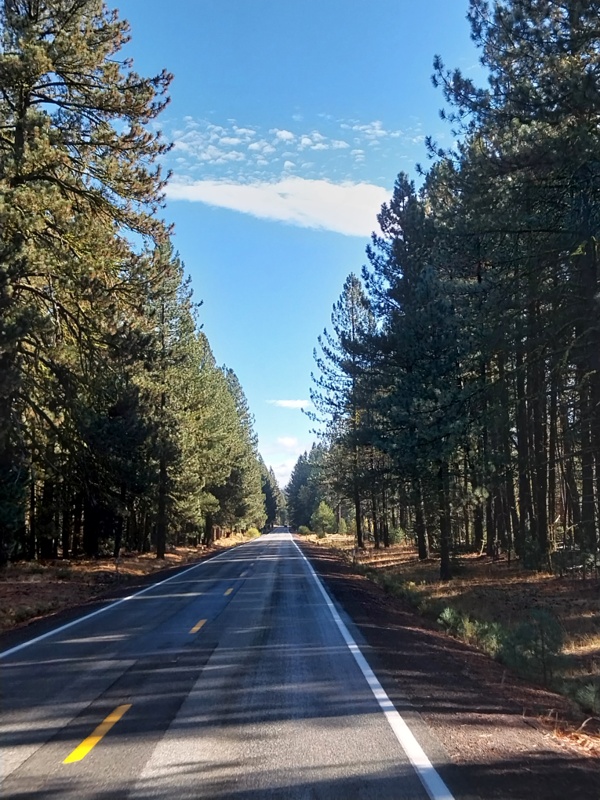 Der Weg ist das Ziel