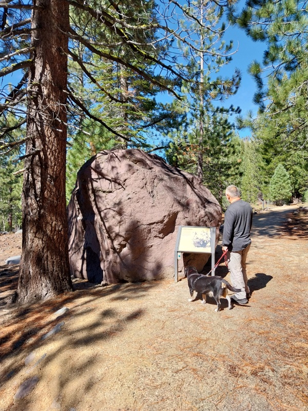 Vulkangestein, was für ein „Procke“