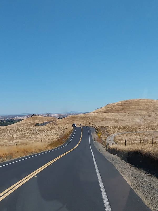 Vegetation, verändert sich