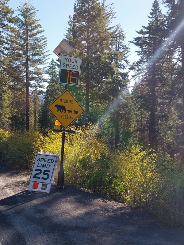 Haben keine Bären gesehen