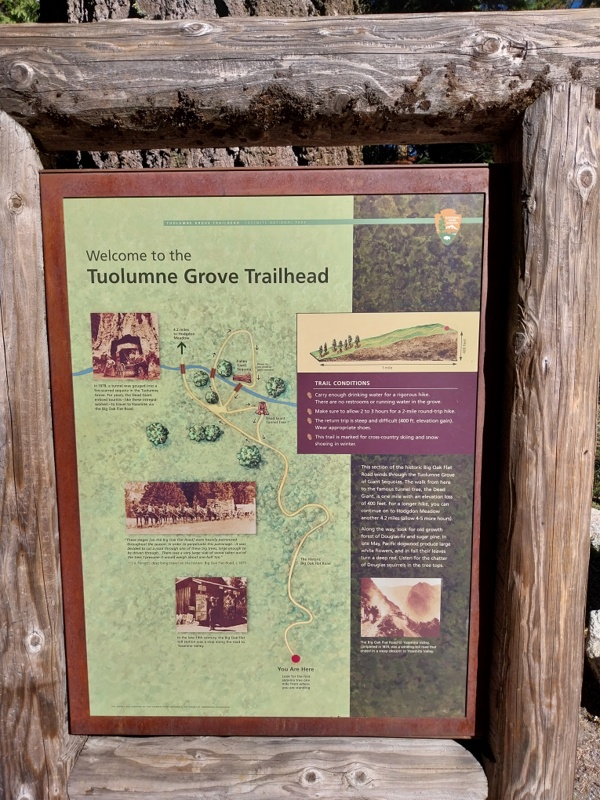 Tuolumne Grove