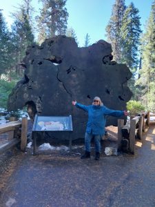 Mehr über den Artikel erfahren 02.03_Amerika – 1. Etappe California