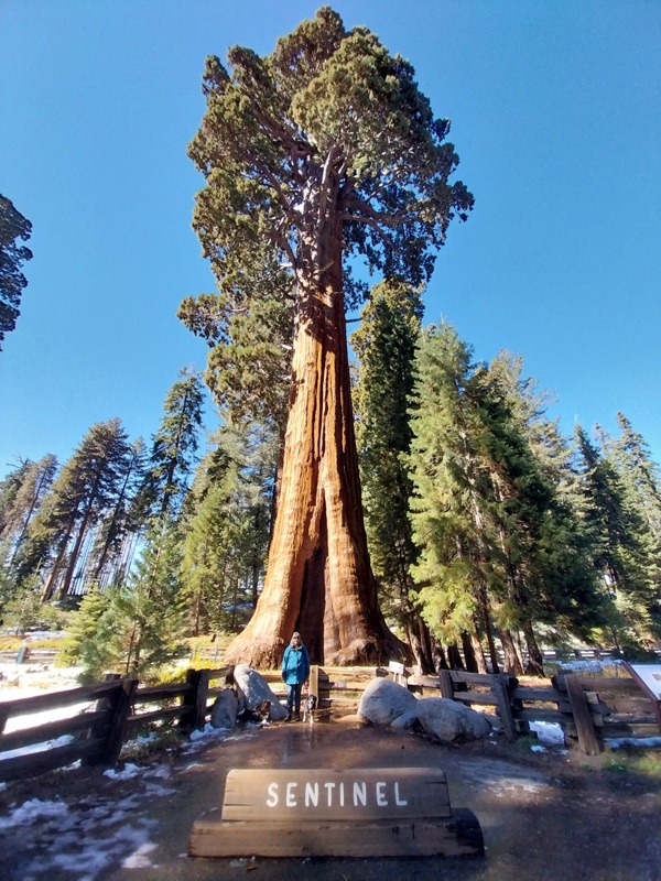 Wie klein der Mensch doch ist