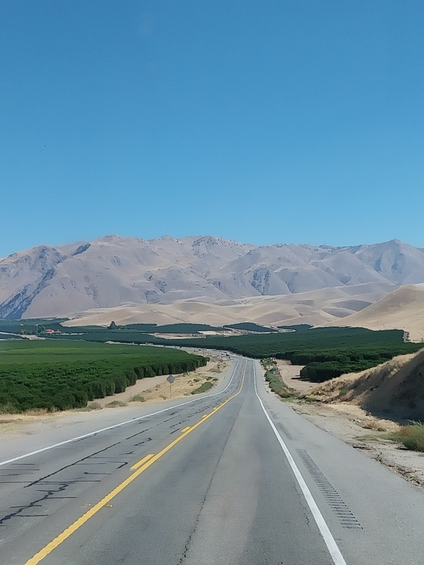 Wieder im Tal mit Plantagen