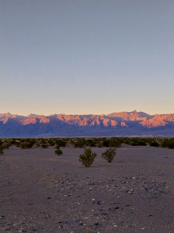 Abendstimmung in der Mojave Wüste