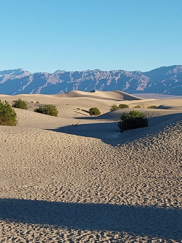 Sanddünen von Mesquite Flat