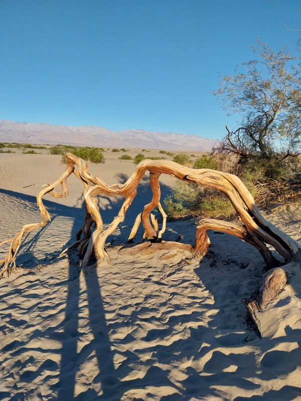 Sanddünen von Mesquite Flat