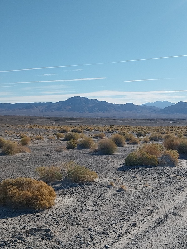 Mojave Wüste in Tecopa Hot Springs