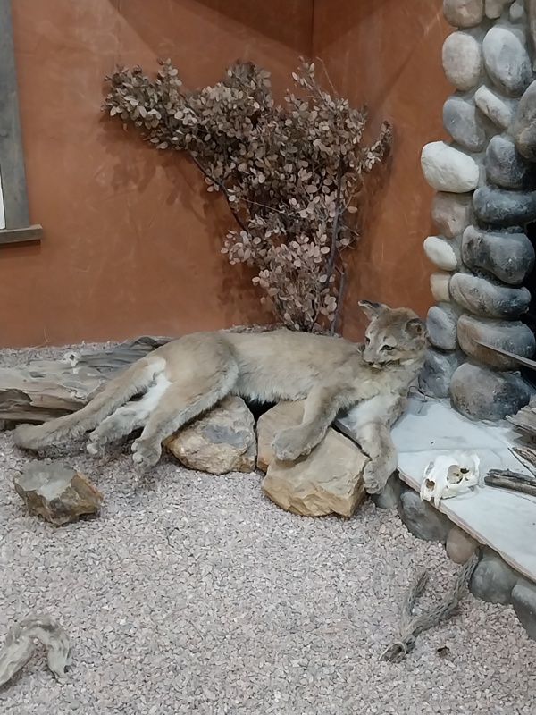 In der Zeit zurück versetzt