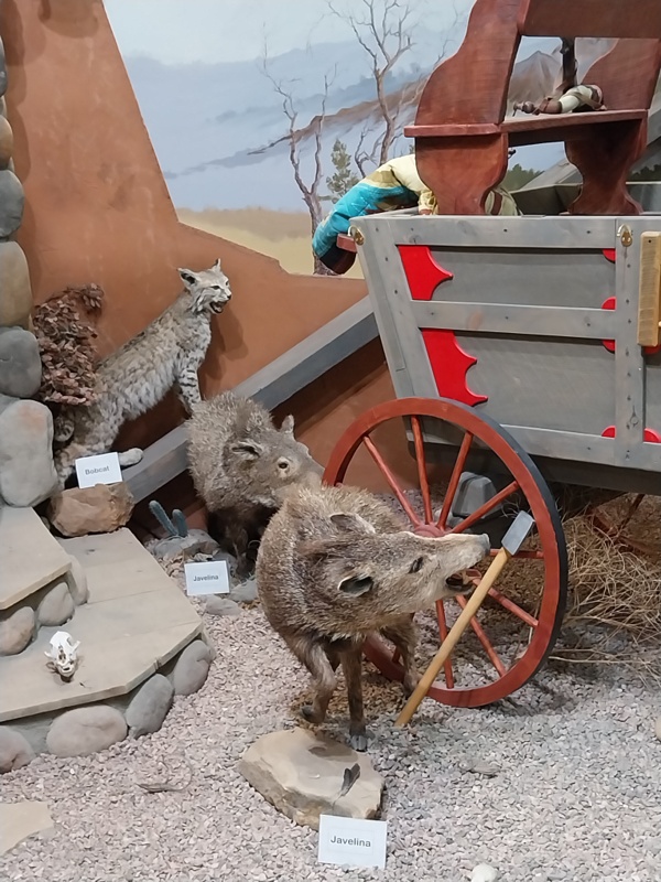 Kein einfaches Leben