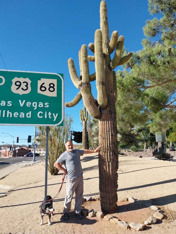 Kakteen dürfen nicht fehlen