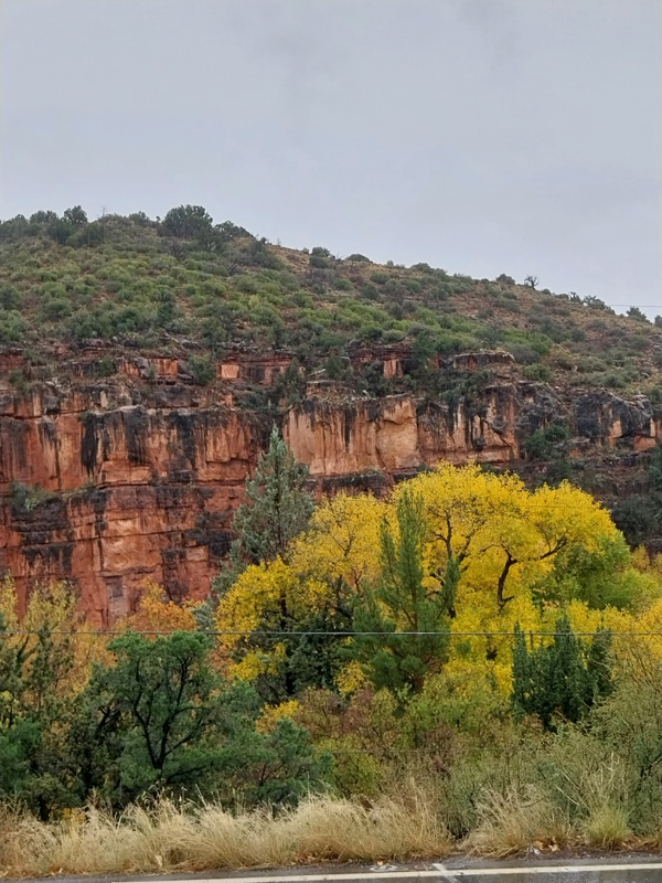 Was für eine Pracht, herrlich