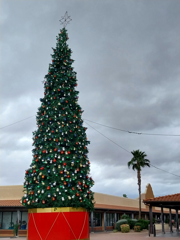 Hier steht er nun, der Weihnachtsbaum
