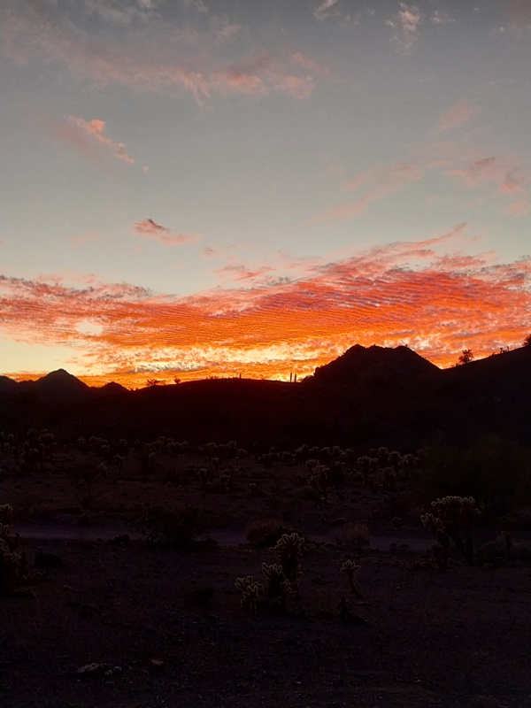 Abendstimmung in der Wüste