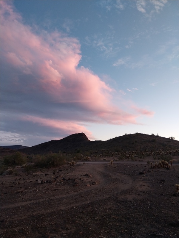 Abendstimmung in der Wüste